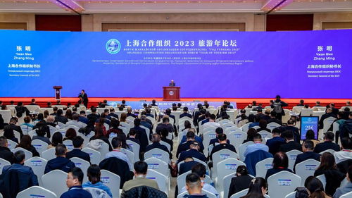 旅游點亮文明互鑒之光 上合組織秘書長張明談旅游作為文化交流與對話互動的重要方向