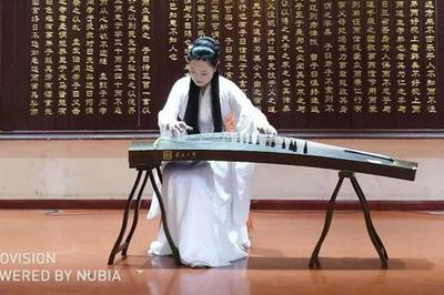 第八屆中國(國際)器樂文化藝術(shù)節(jié)南陽站演出活動圓滿舉行，助推文化藝術(shù)交流新篇章